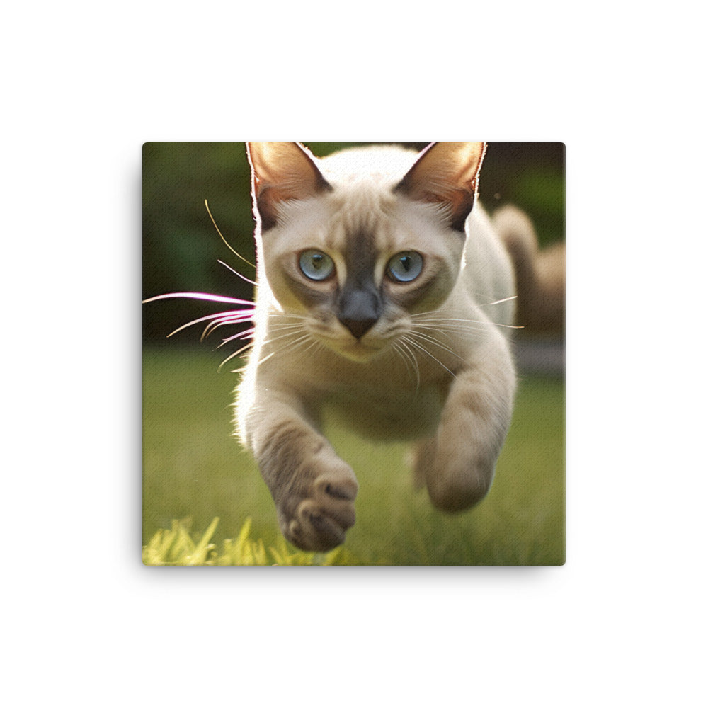 Tonkinese in Motion canvas - Posterfy.AI