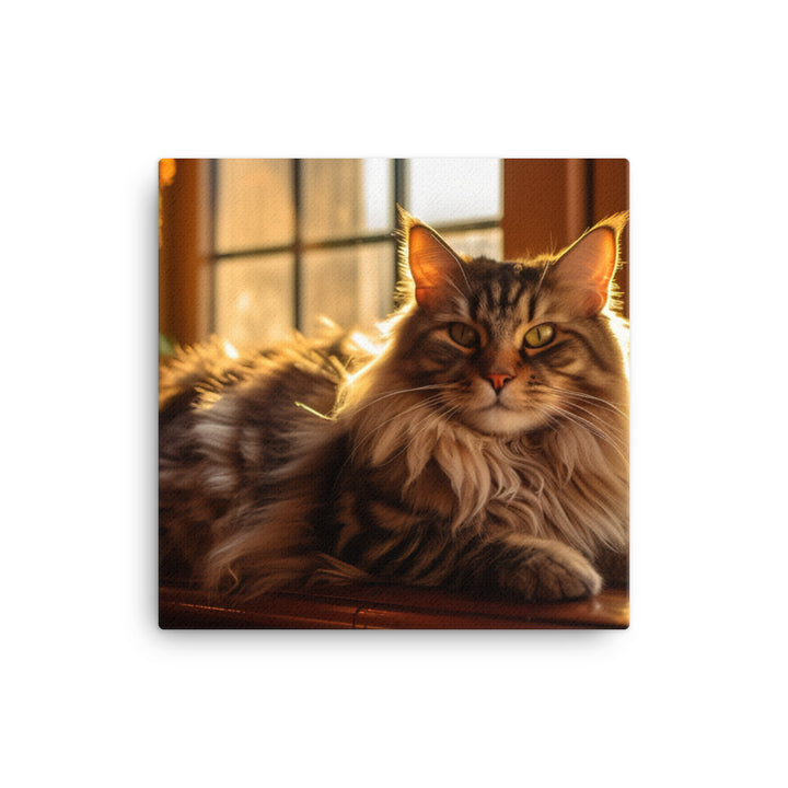 Maine Coon in the Sunlight canvas - Posterfy.AI