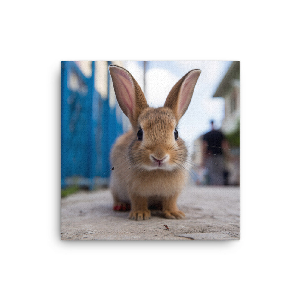 Adorable Havana Bunny Canvas - PosterfyAI.com