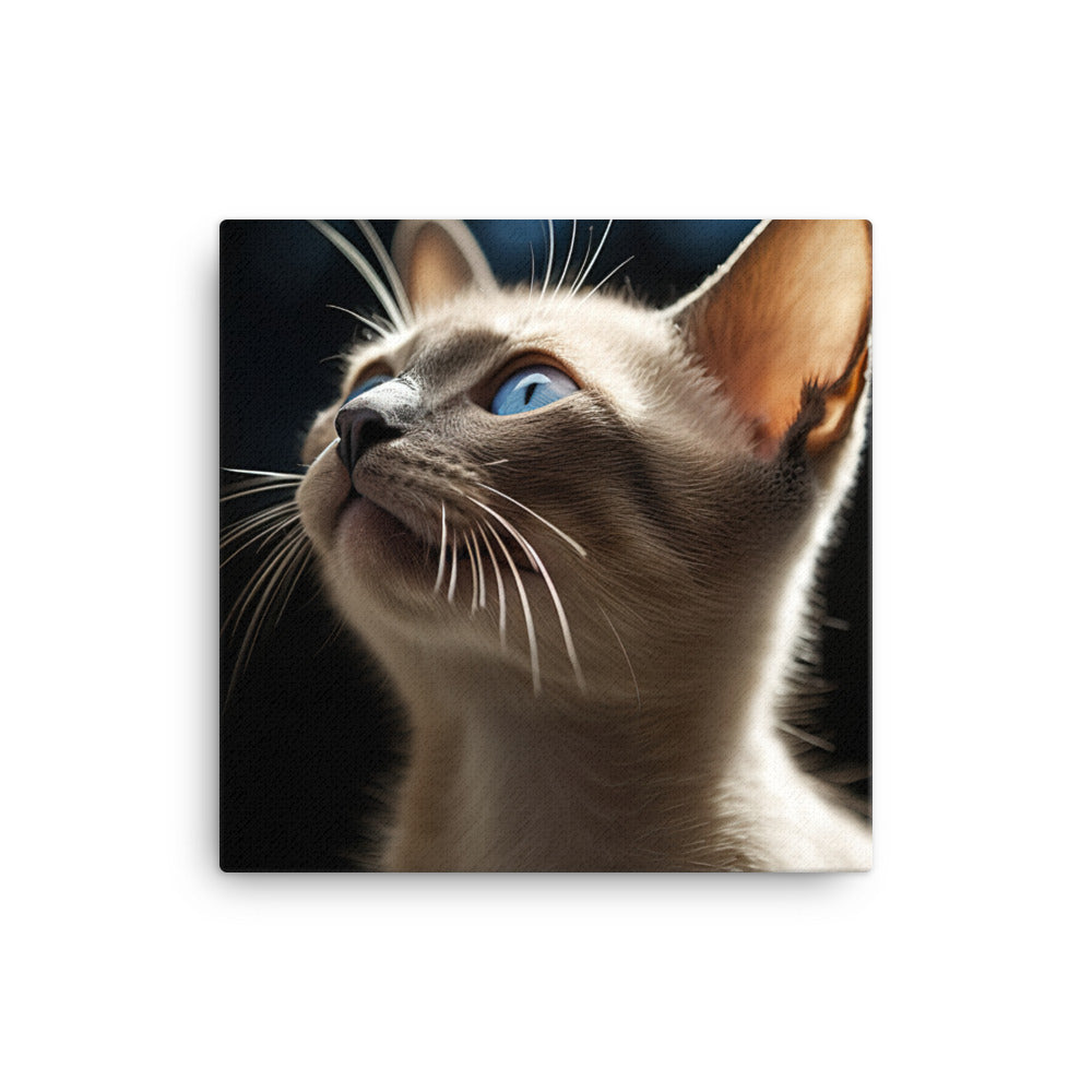 Charm of Tonkinese Kitten Canvas - PosterfyAI.com