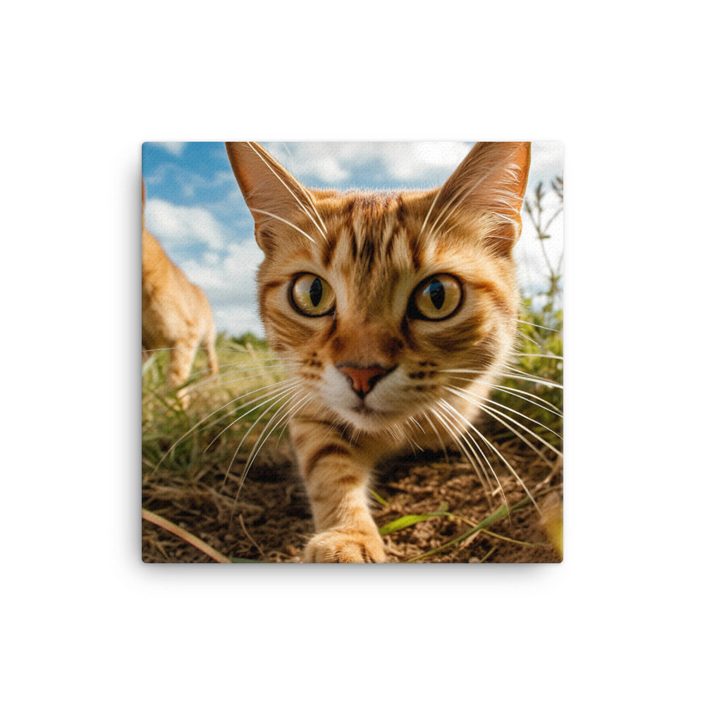 Playful Nature of Somali Cat Canvas - PosterfyAI.com