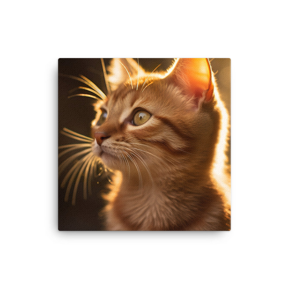 Details of Somali Kitten Canvas - PosterfyAI.com