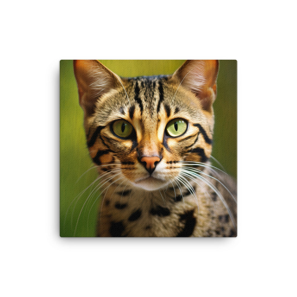 Wild Beauty of Ocicat Cat Canvas - PosterfyAI.com