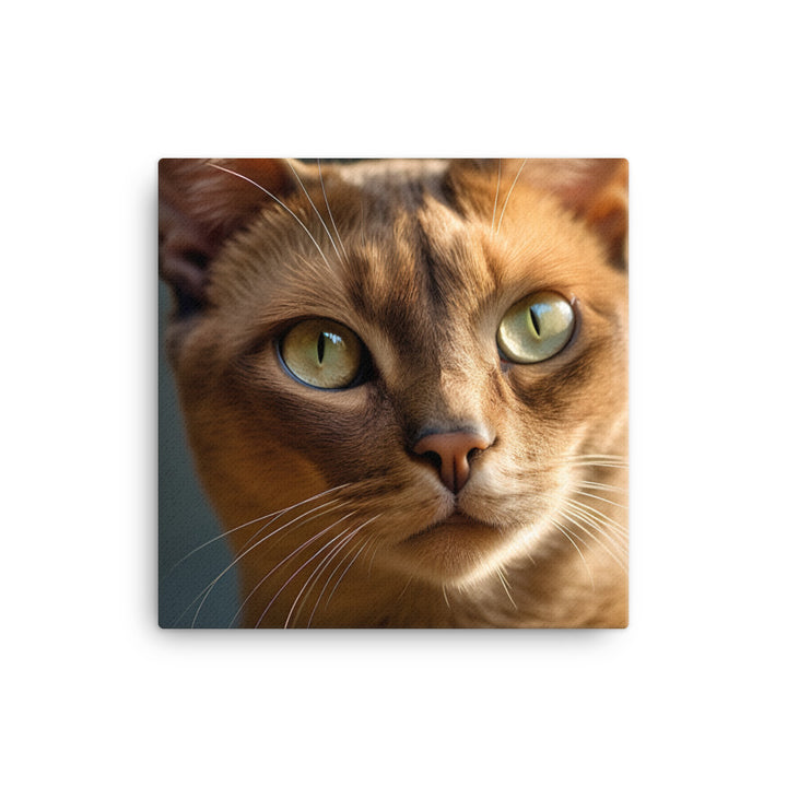 Elegance of Burmese Cat Canvas - PosterfyAI.com