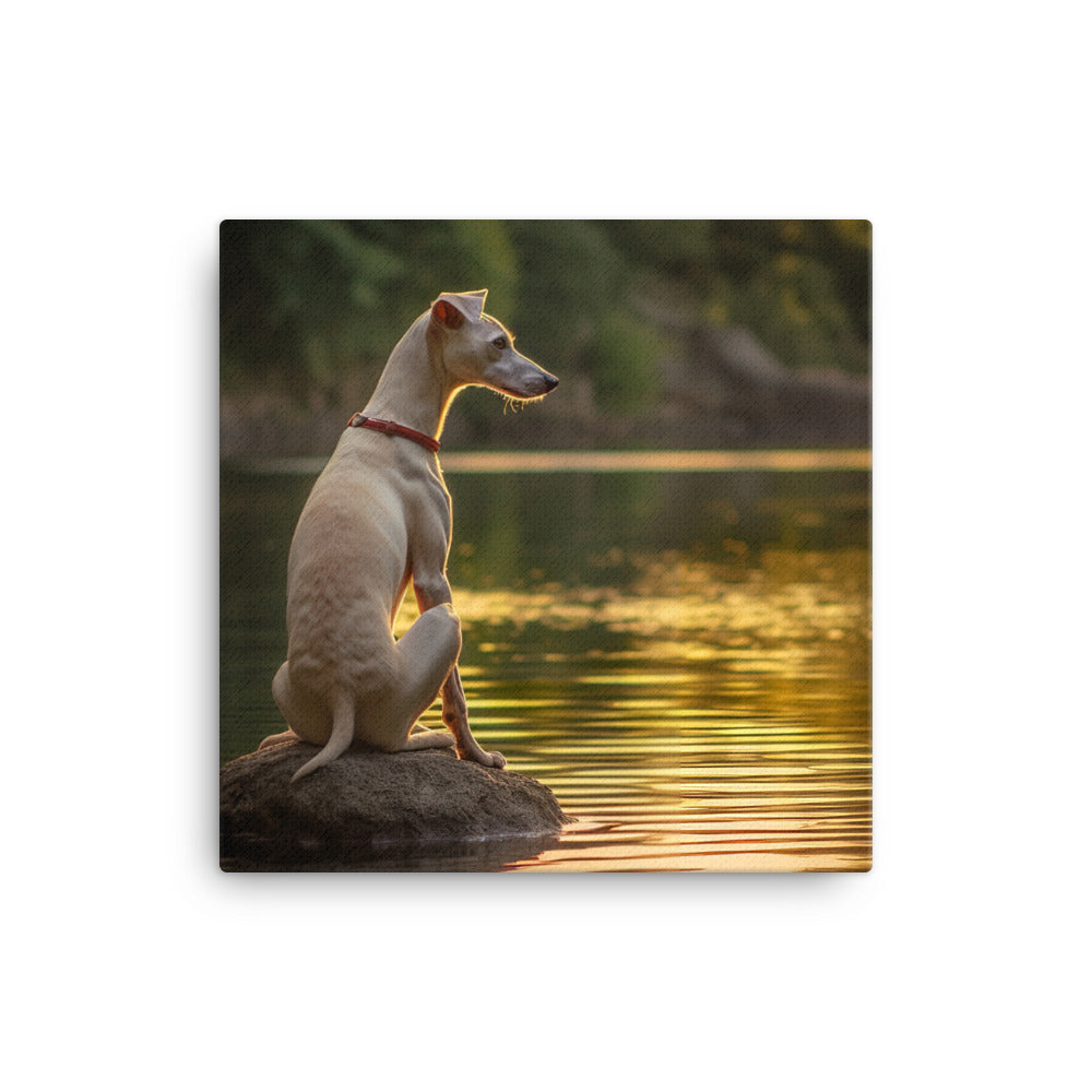 Whippet Canvas - PosterfyAI.com