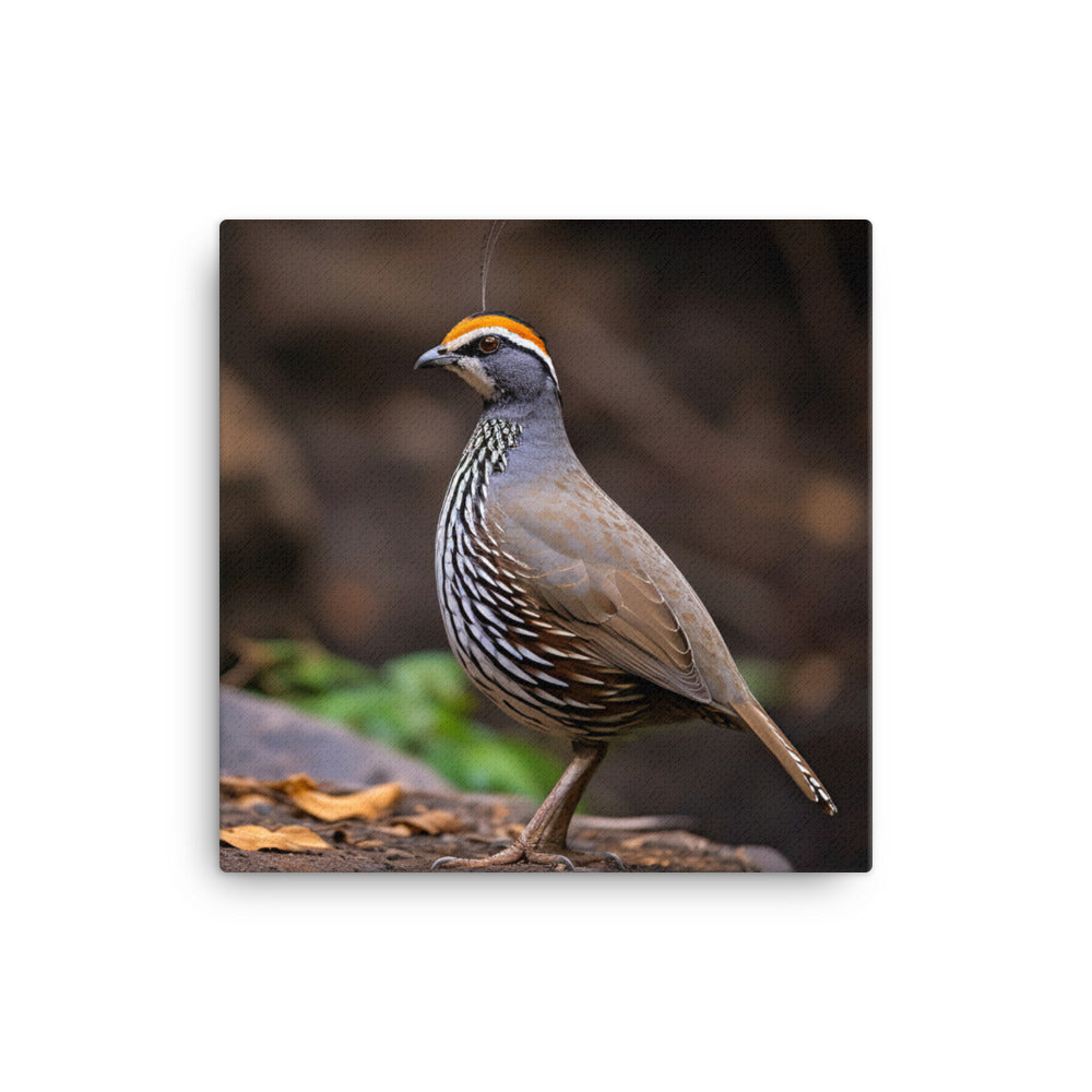 Quail Canvas - PosterfyAI.com