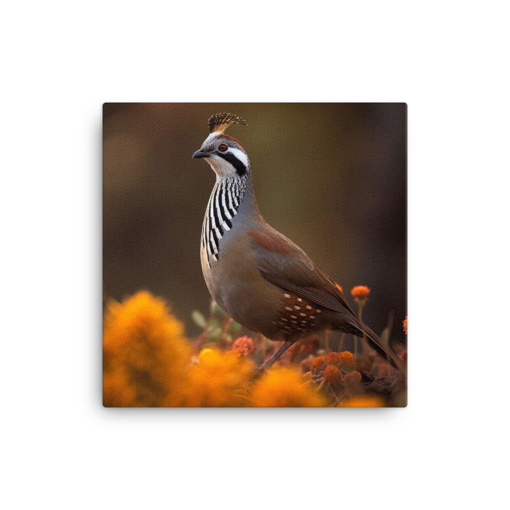 Quail Canvas - PosterfyAI.com