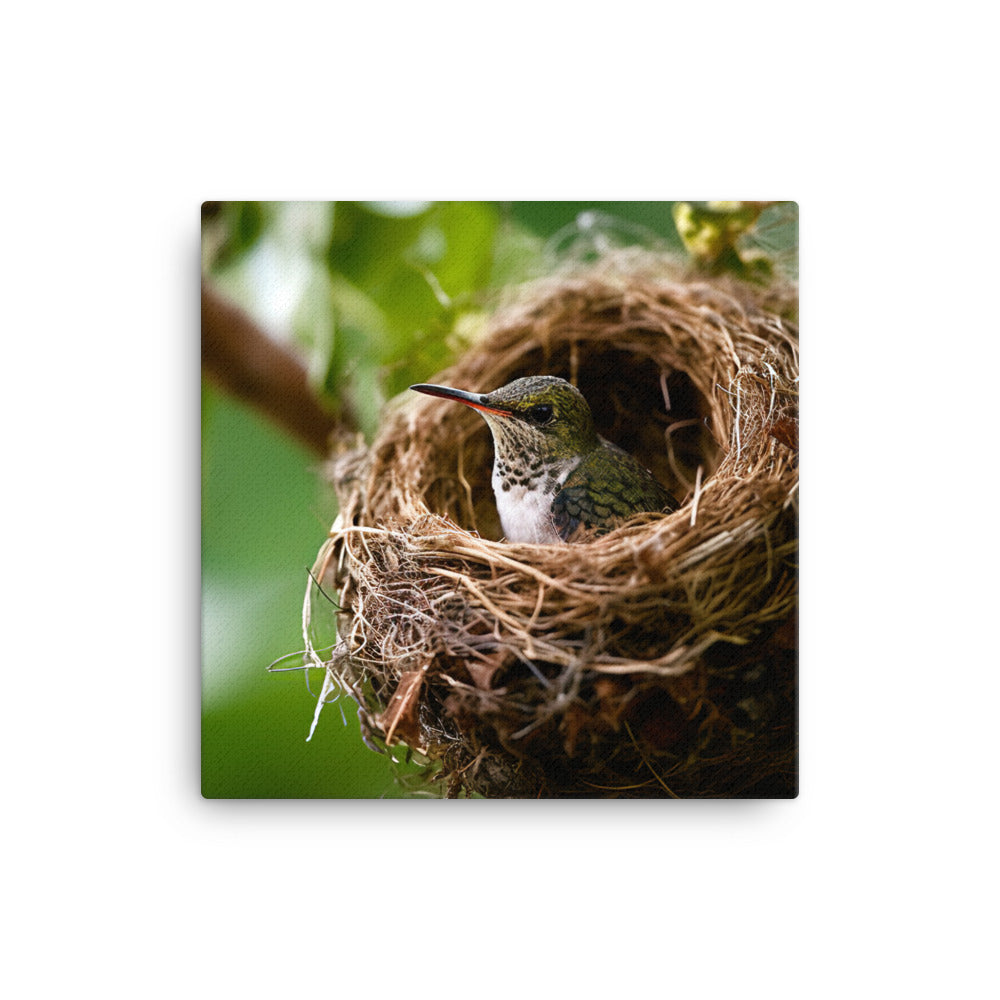 Hummingbird Canvas - PosterfyAI.com