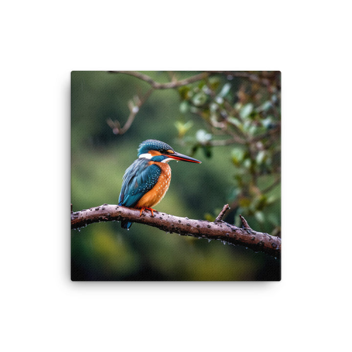Kingfisher Canvas - PosterfyAI.com
