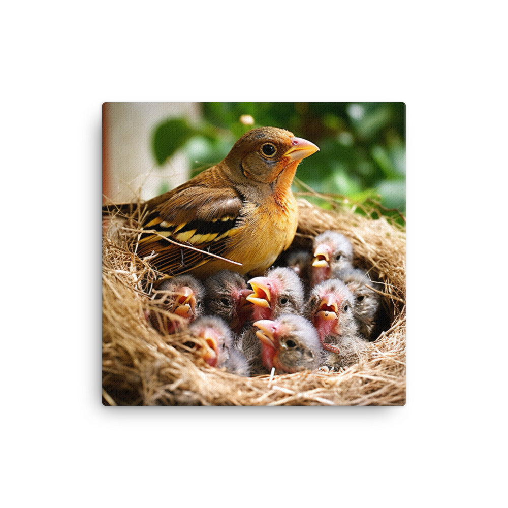 Finch Canvas - PosterfyAI.com