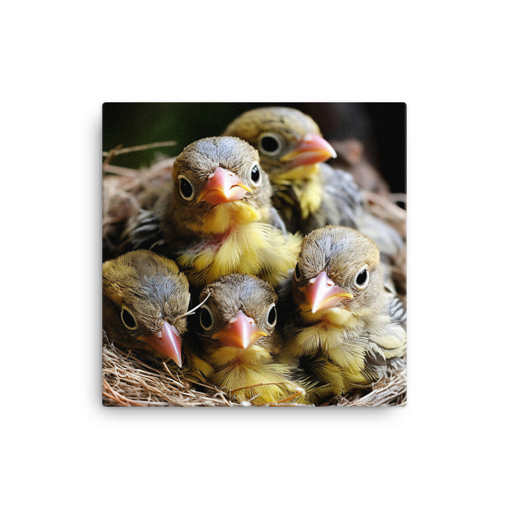 Finch Canvas - PosterfyAI.com