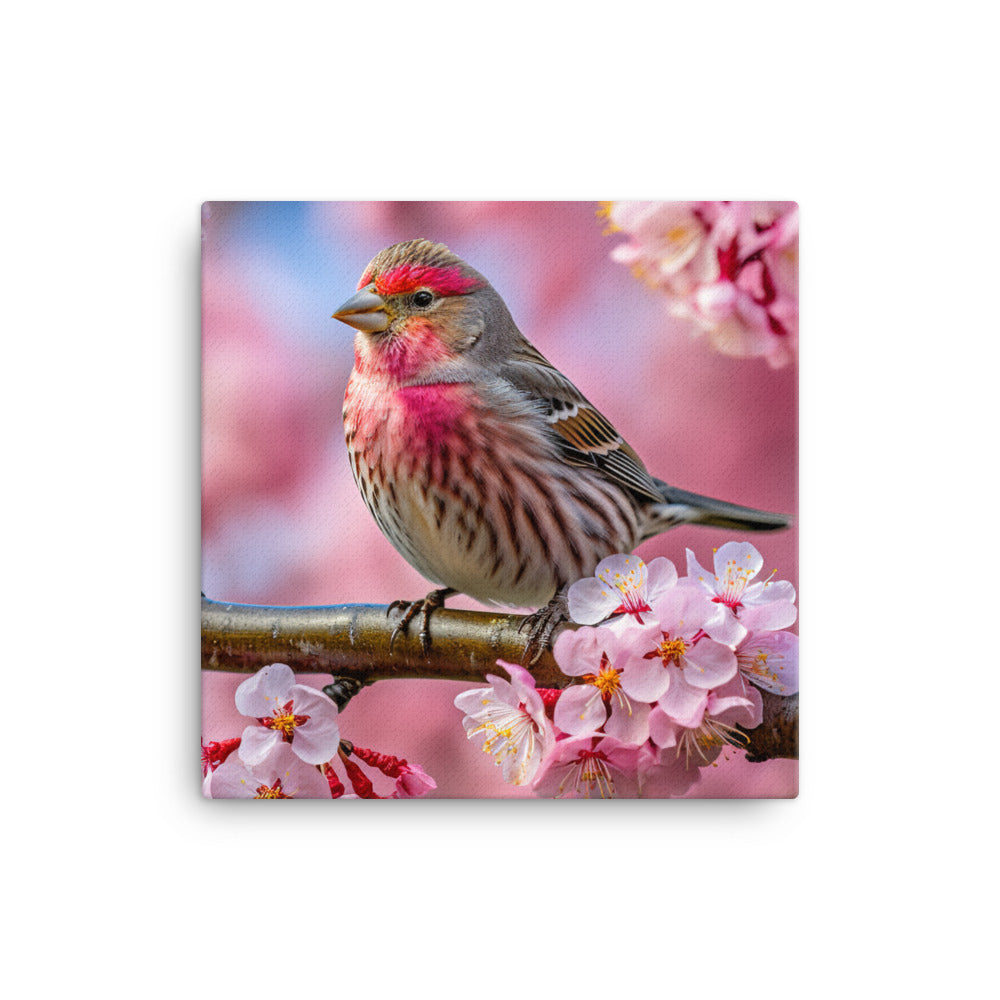 Finch Canvas - PosterfyAI.com