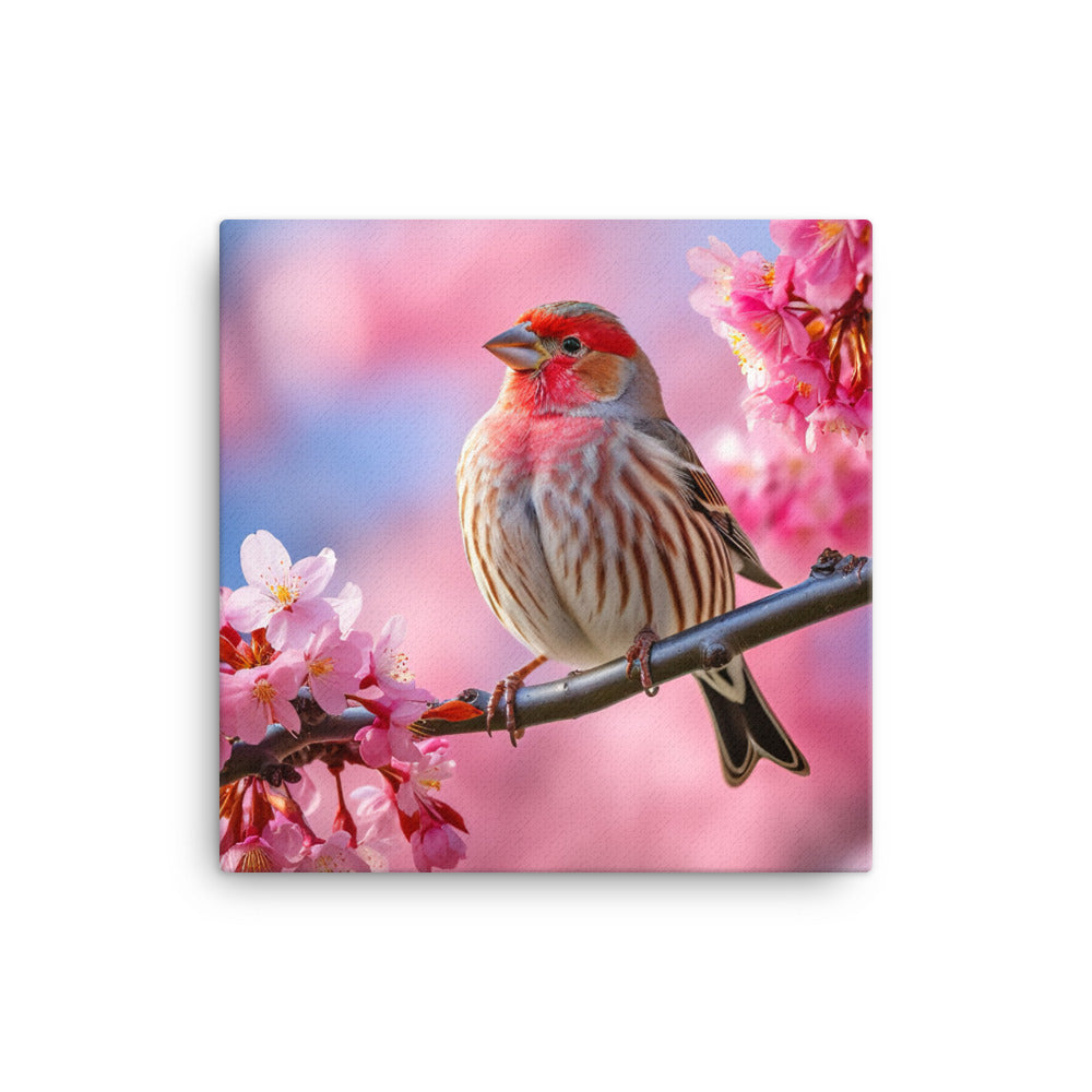 Finch Canvas - PosterfyAI.com