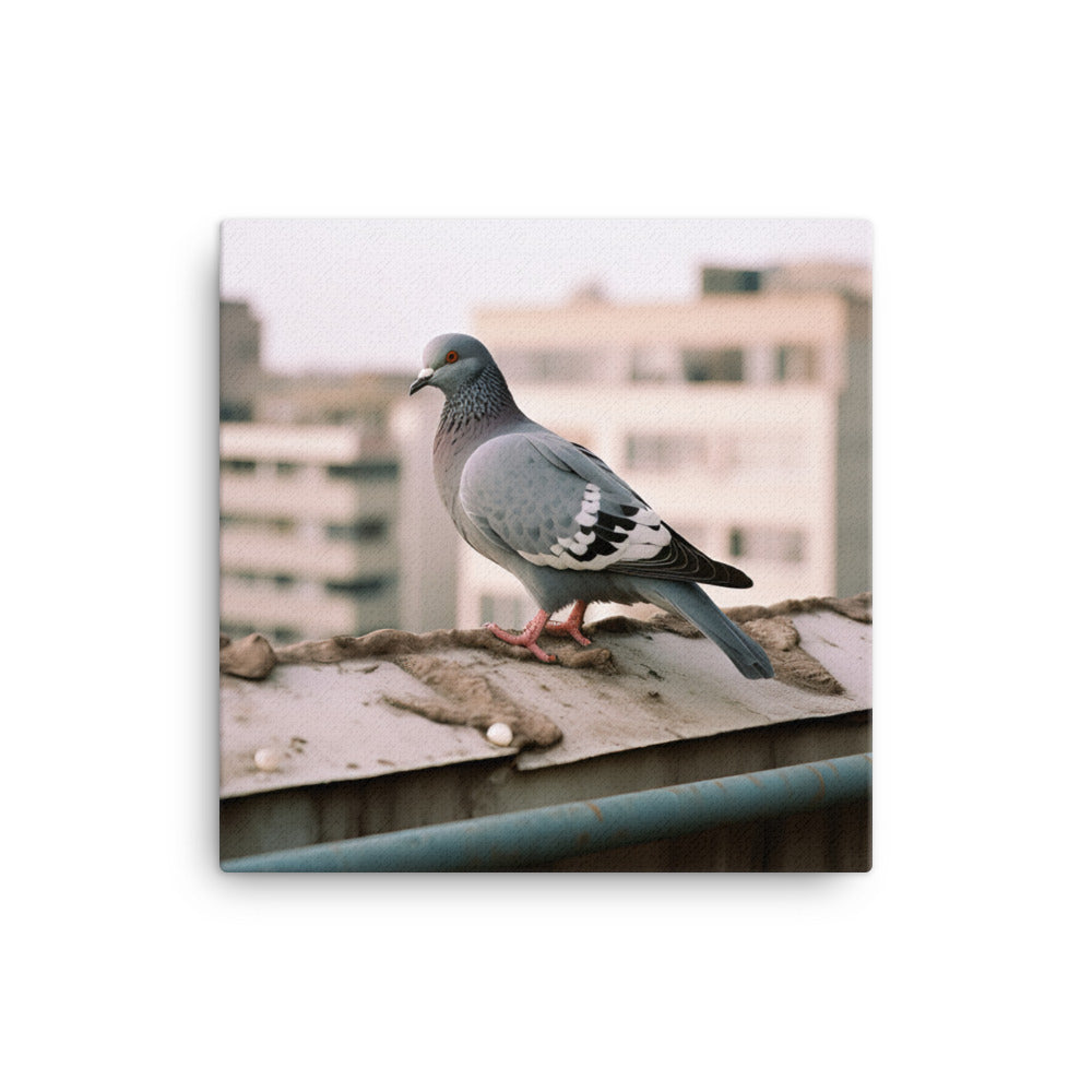 Pigeon Canvas - PosterfyAI.com