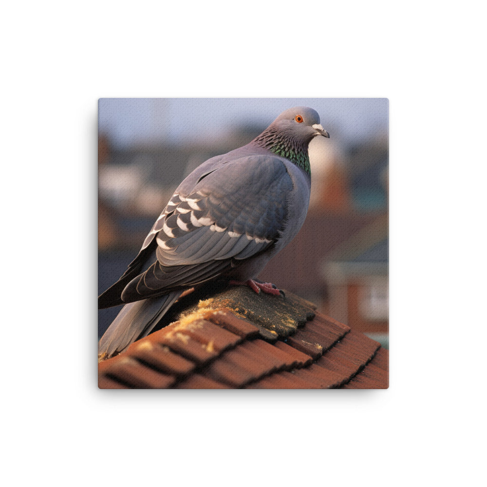 Pigeon Canvas - PosterfyAI.com