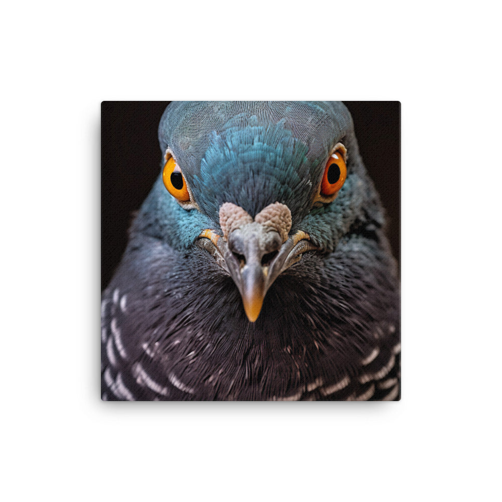 Pigeon Canvas - PosterfyAI.com