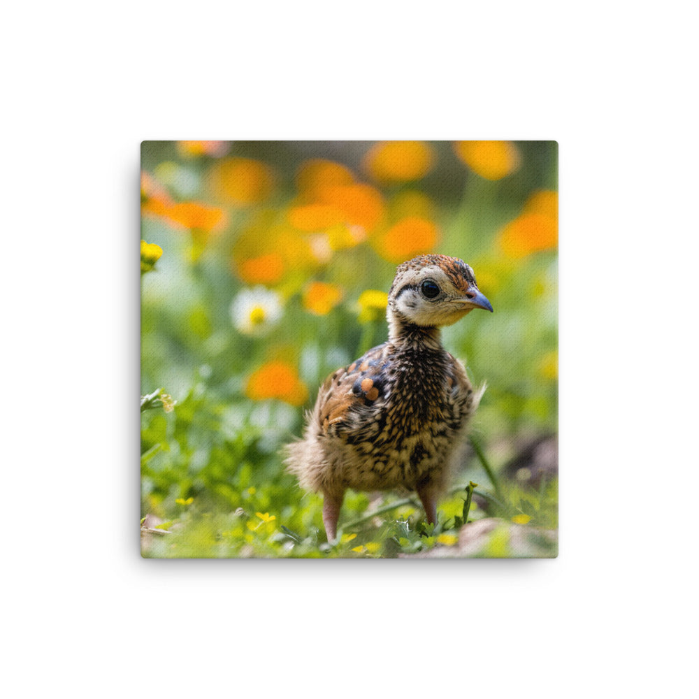 Chick Canvas - PosterfyAI.com
