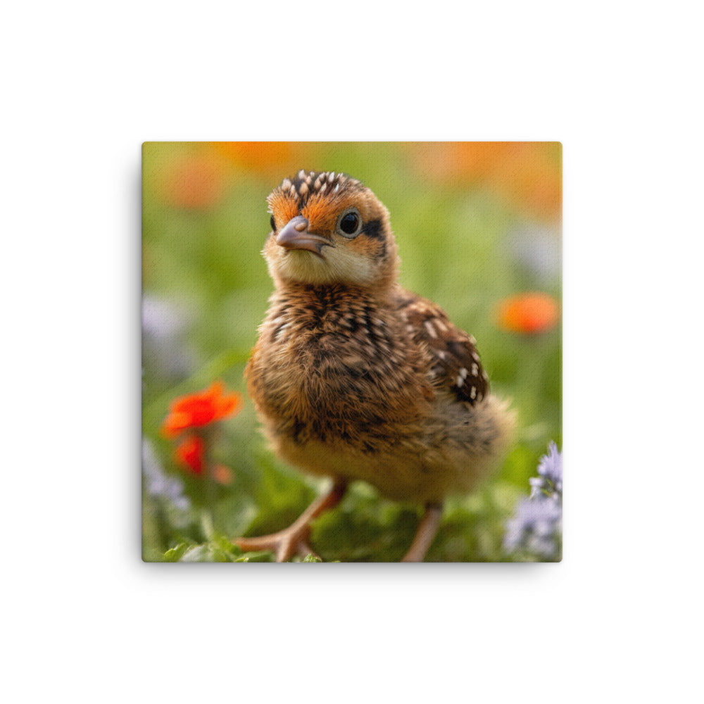 Chick Canvas - PosterfyAI.com