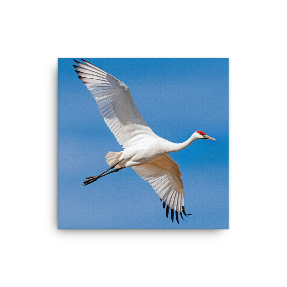 Crane Canvas - PosterfyAI.com
