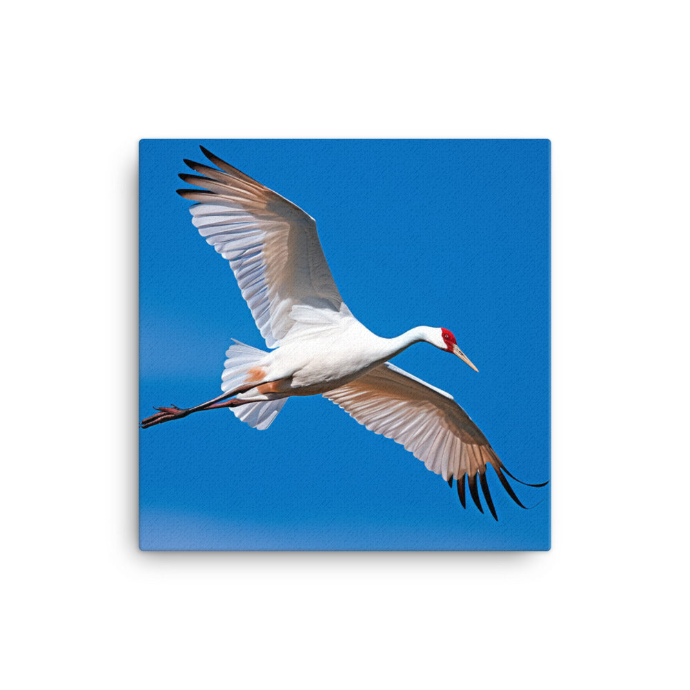 Crane Canvas - PosterfyAI.com
