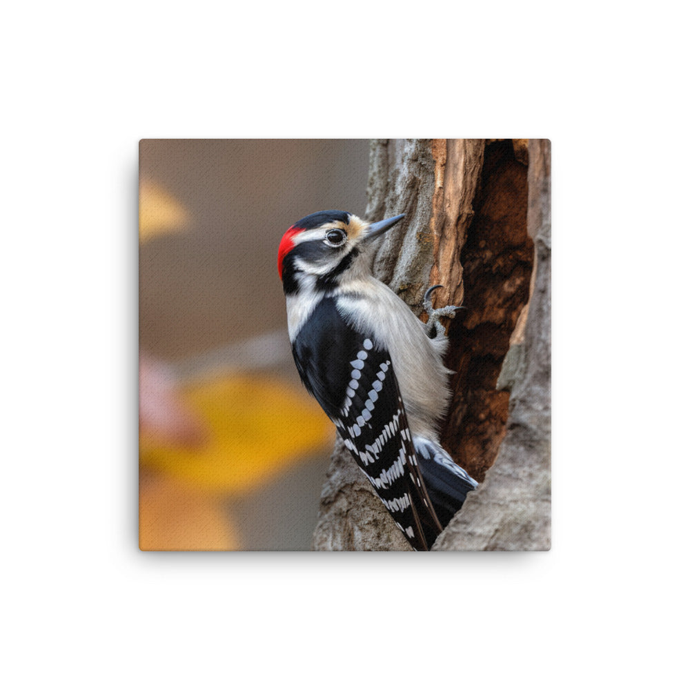 Woodpecker Canvas - PosterfyAI.com