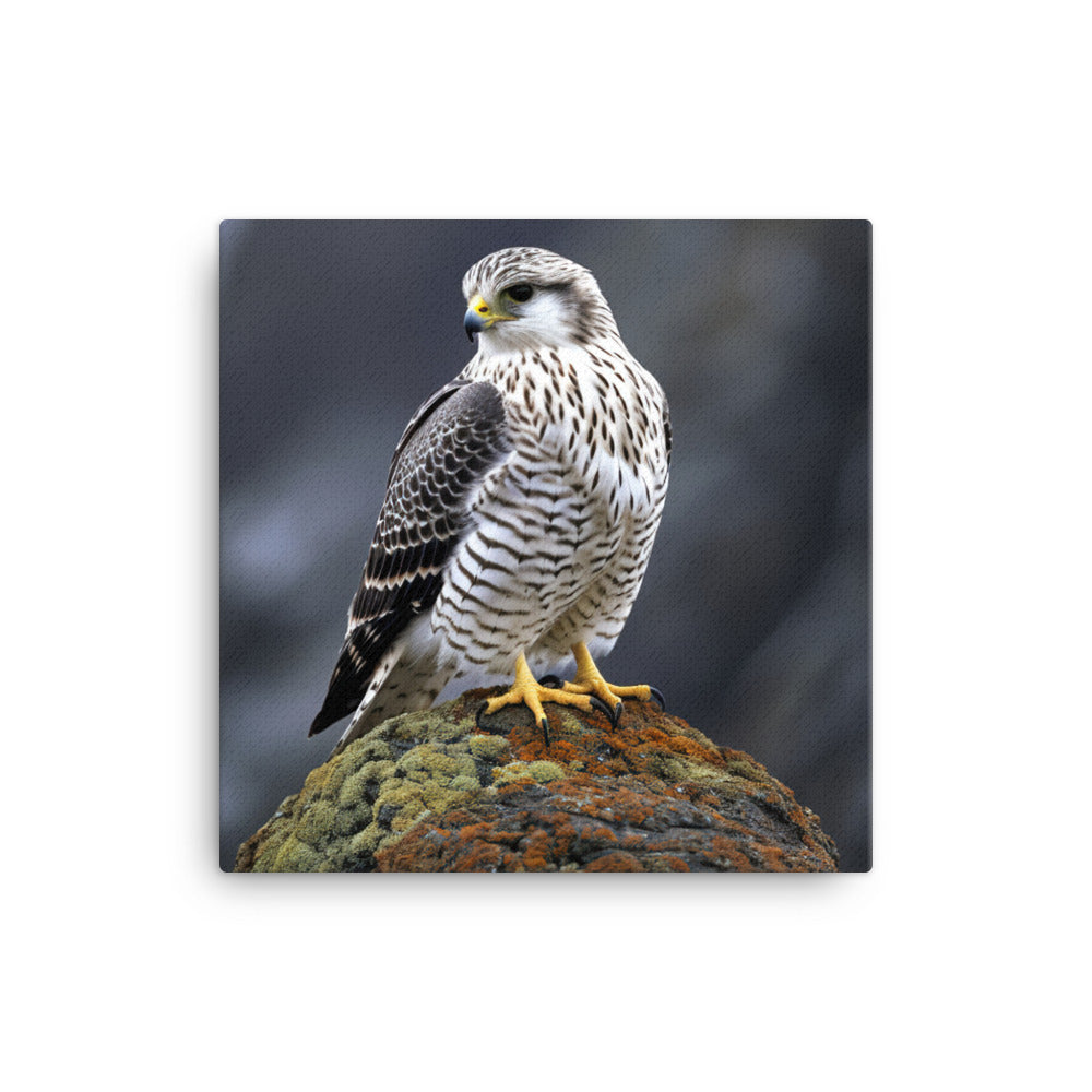 Gyrfalcon Canvas - PosterfyAI.com