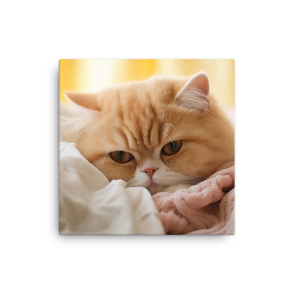 Exotic Shorthair Canvas - PosterfyAI.com