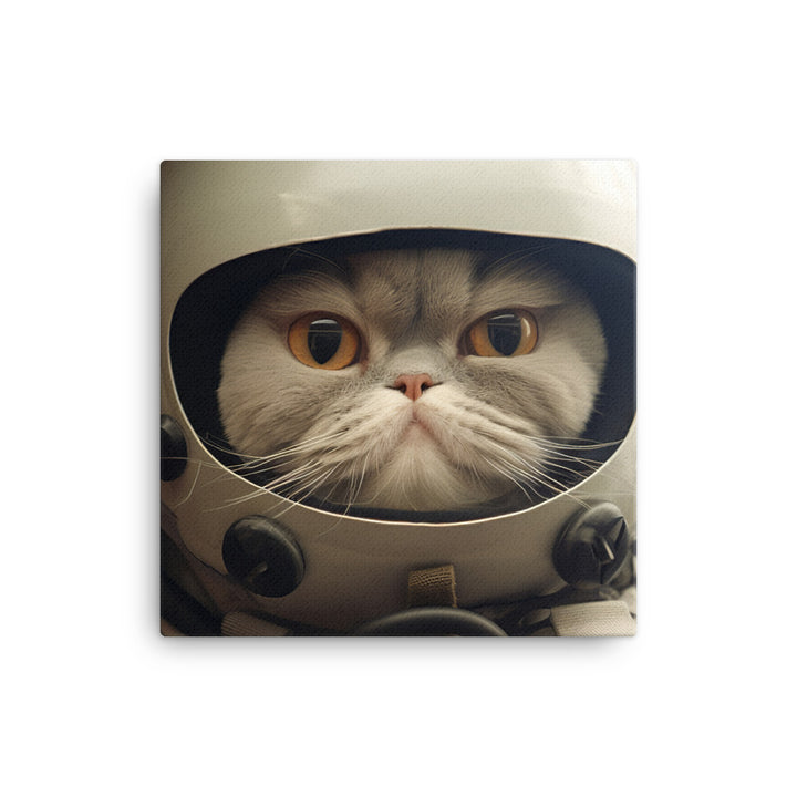 Exotic Shorthair Pilot Canvas - PosterfyAI.com