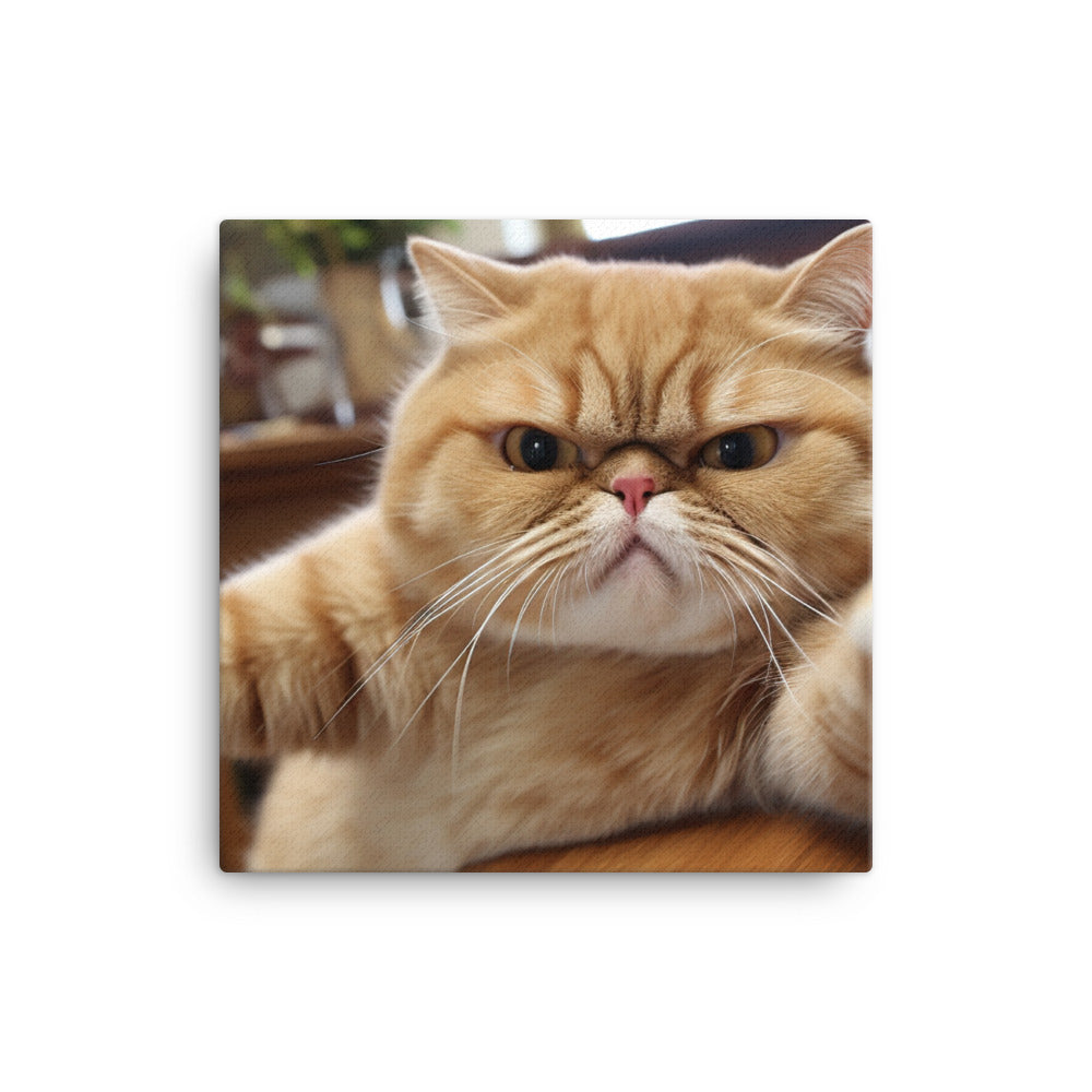 Exotic Shorthair Canvas - PosterfyAI.com