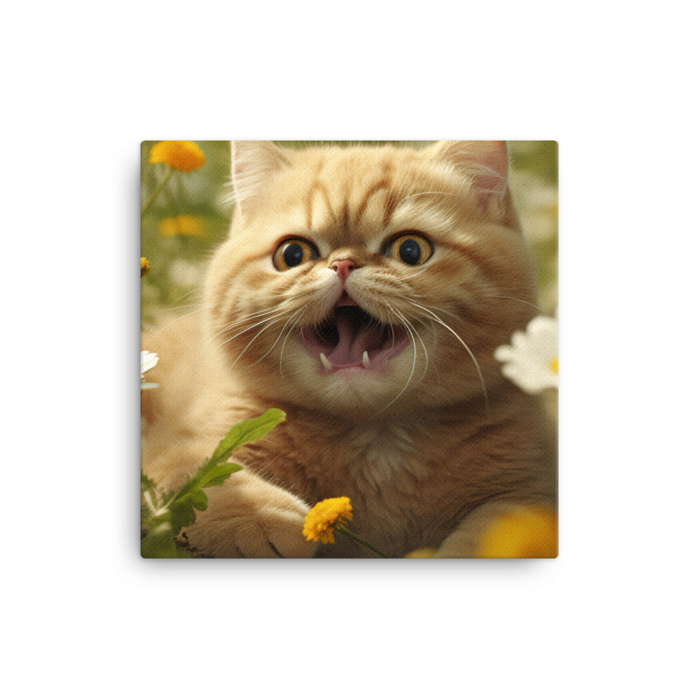 Exotic Shorthair Canvas - PosterfyAI.com