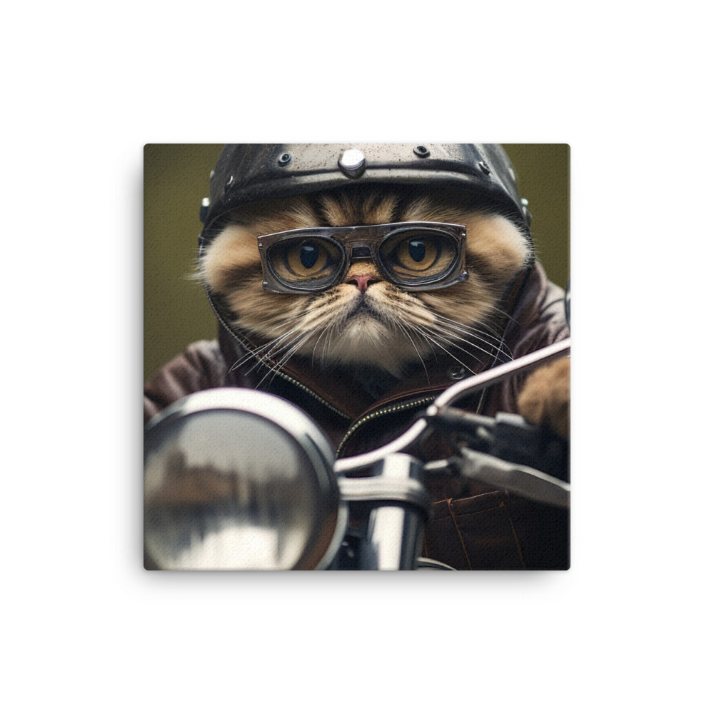 Exotic Shorthair Superbike Athlete Canvas - PosterfyAI.com