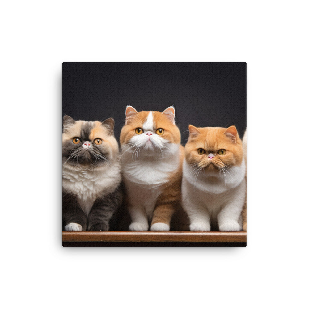 Exotic Shorthair Canvas - PosterfyAI.com