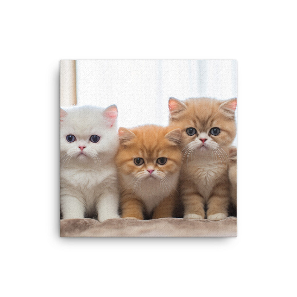 Exotic Shorthair Canvas - PosterfyAI.com