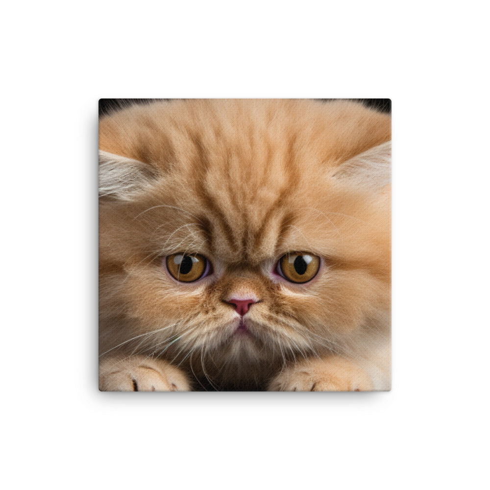 Exotic Shorthair Canvas - PosterfyAI.com