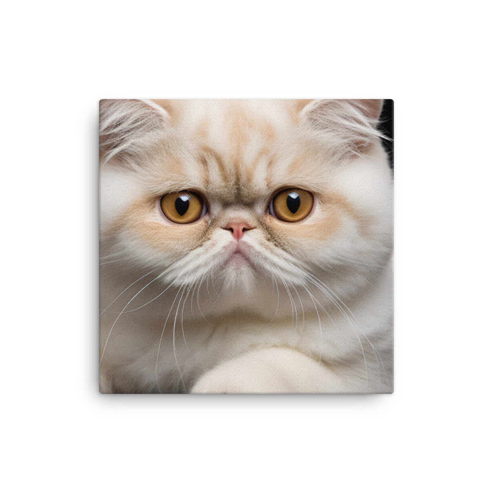 Exotic Shorthair Canvas - PosterfyAI.com