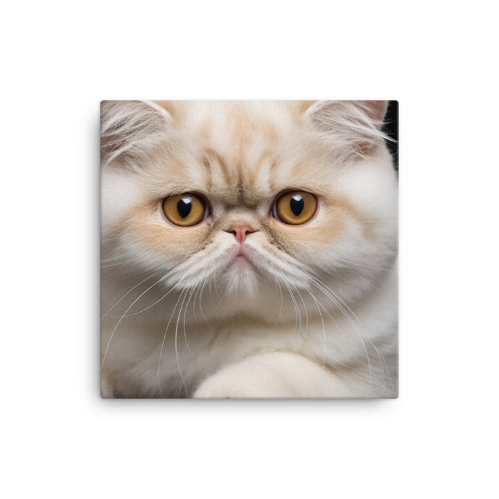 Exotic Shorthair Canvas - PosterfyAI.com
