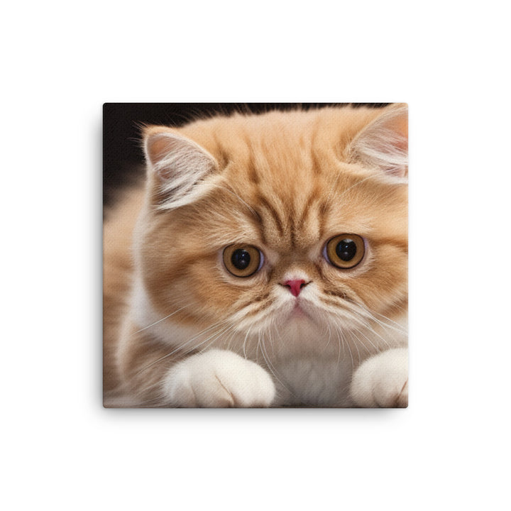 Exotic Shorthair Canvas - PosterfyAI.com