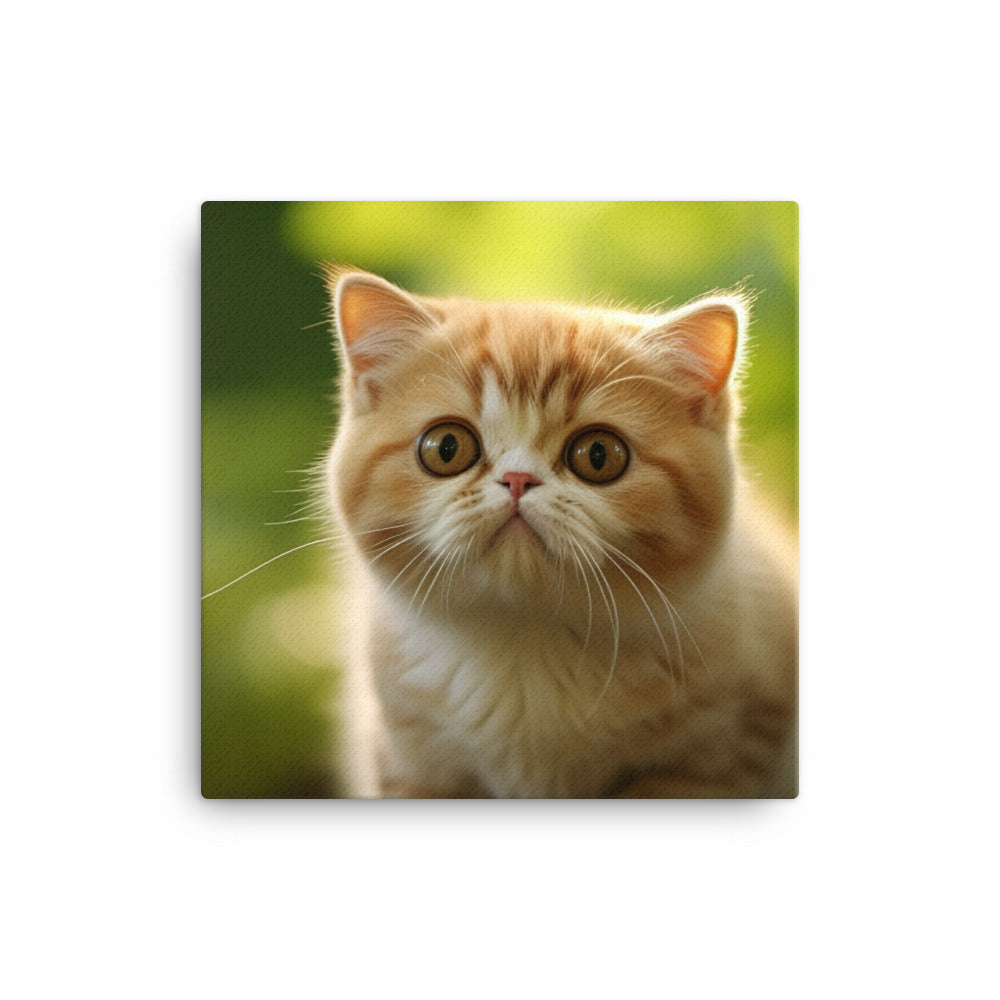 Exotic Shorthair Canvas - PosterfyAI.com