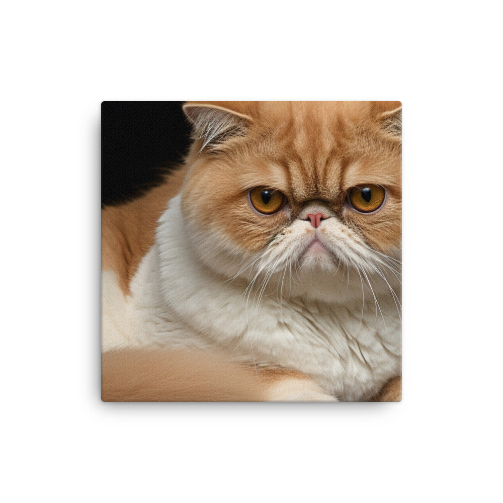 Exotic Shorthair Canvas - PosterfyAI.com