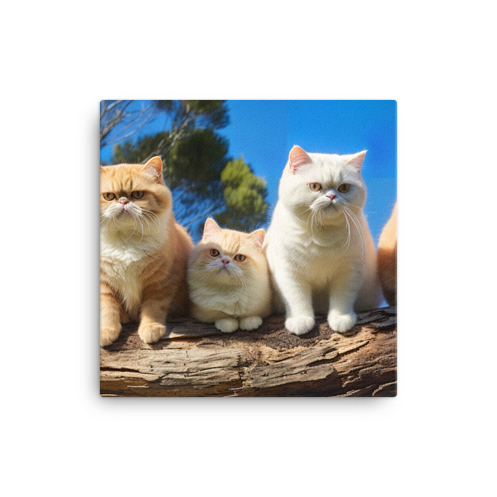 Exotic Shorthair Canvas - PosterfyAI.com
