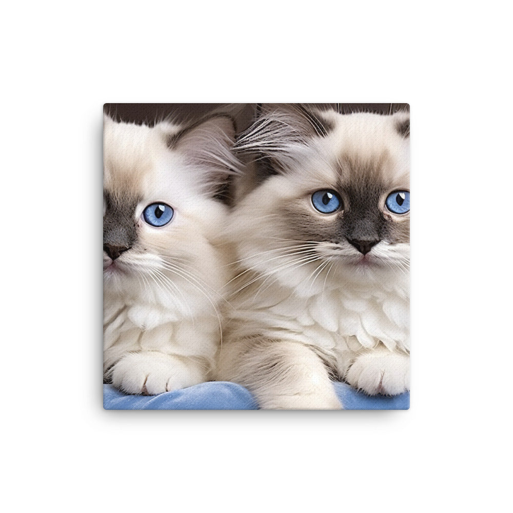 Ragdoll Canvas - PosterfyAI.com
