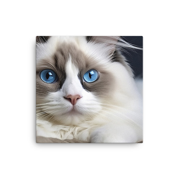 Ragdoll Canvas - PosterfyAI.com