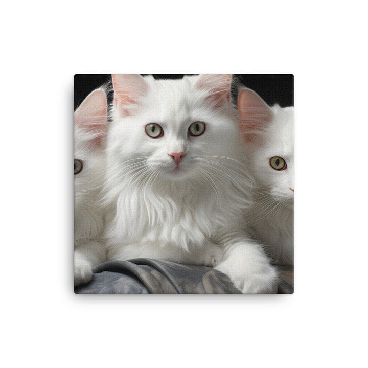 Turkish Angora Canvas - PosterfyAI.com