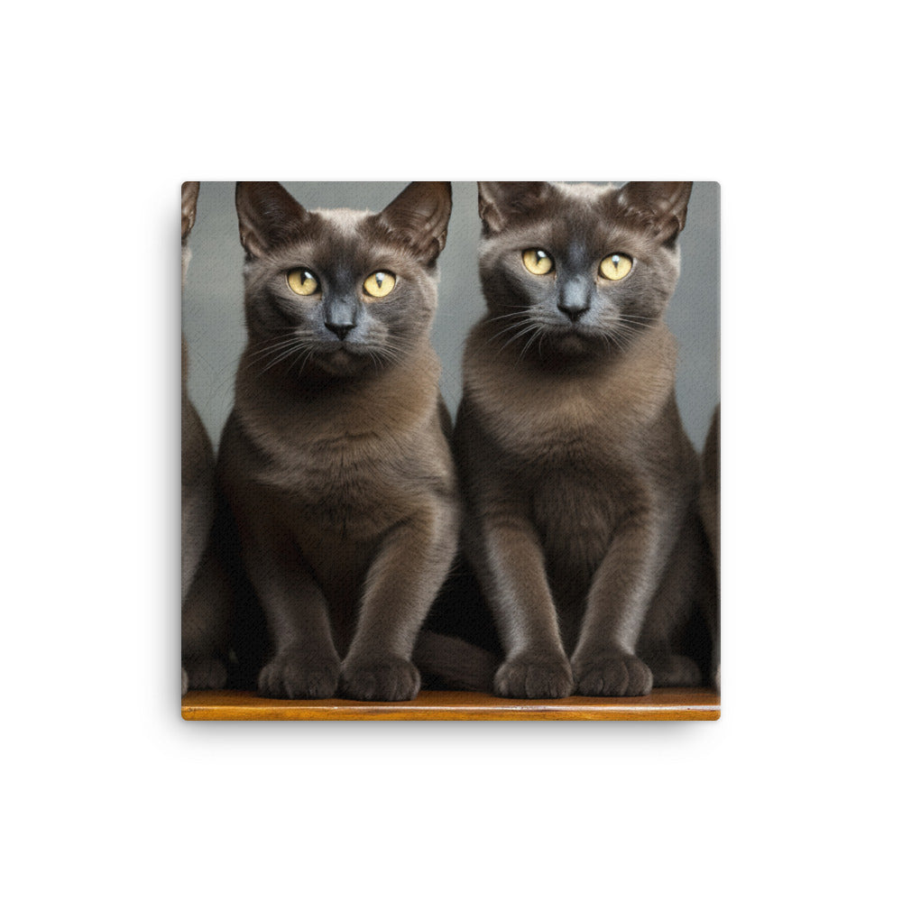 Burmese Canvas - PosterfyAI.com