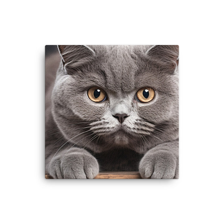 British Shorthair Canvas - PosterfyAI.com