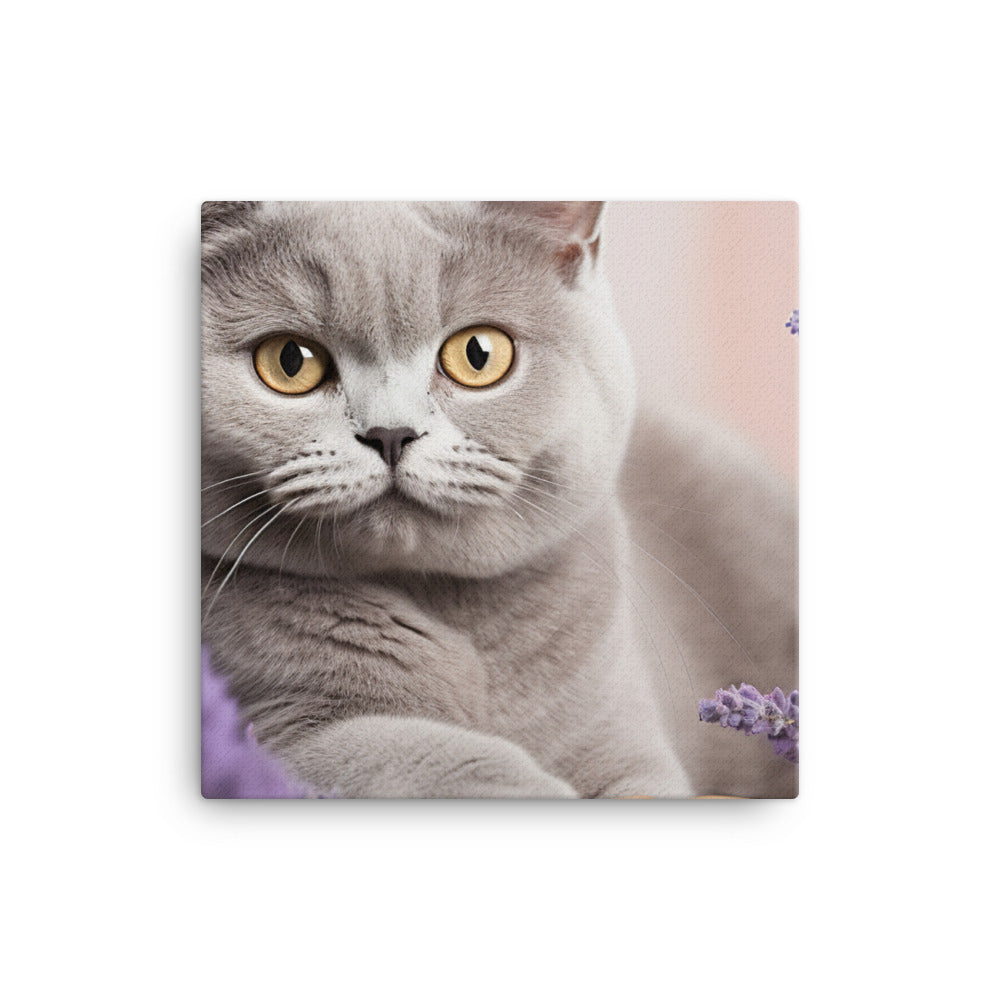 British Shorthair Canvas - PosterfyAI.com