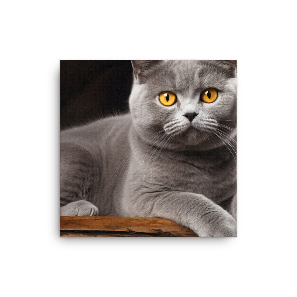 British Shorthair Canvas - PosterfyAI.com