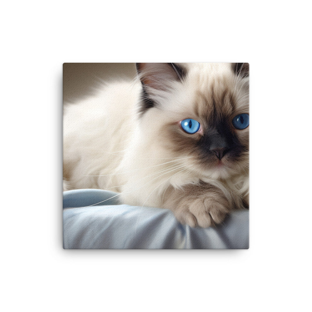 Birman Canvas - PosterfyAI.com