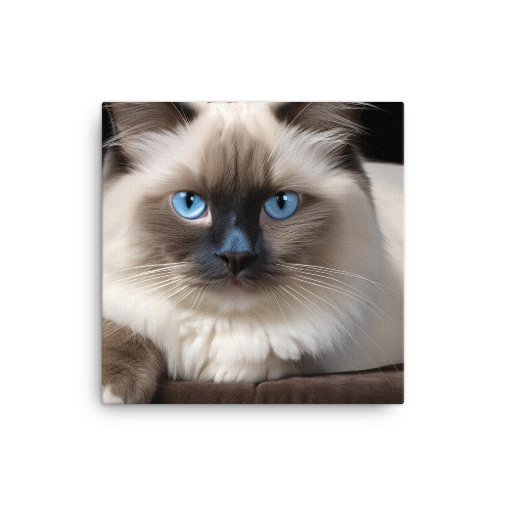 Birman Canvas - PosterfyAI.com