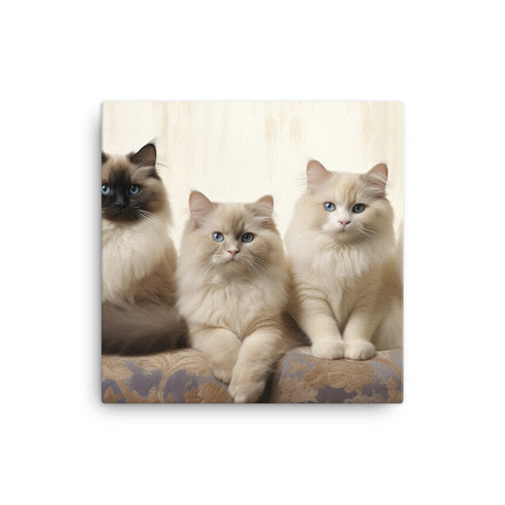 Birman Canvas - PosterfyAI.com